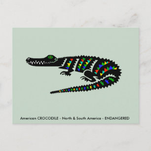 Cool  American CROCODILE - Wildlife - Nature Green Postcard