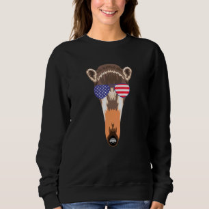 Cool Anteater Wearing Usa Flag Sunglasses Us Ameri Sweatshirt