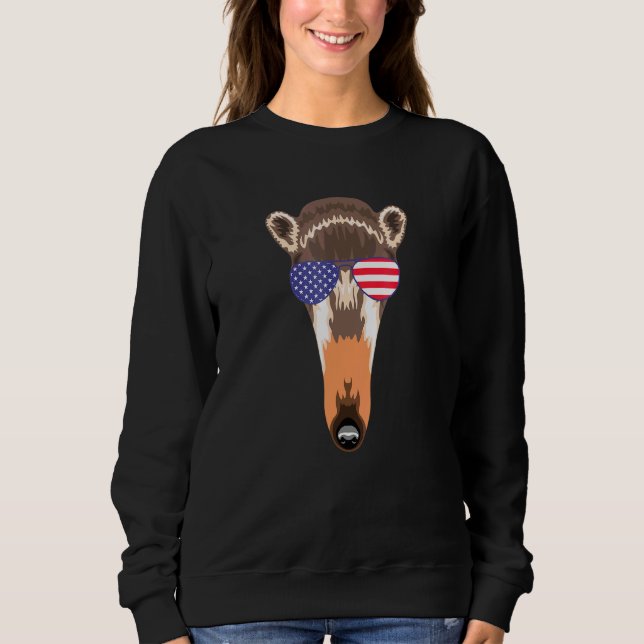 Cool Anteater Wearing Usa Flag Sunglasses Us Ameri Sweatshirt (Front)