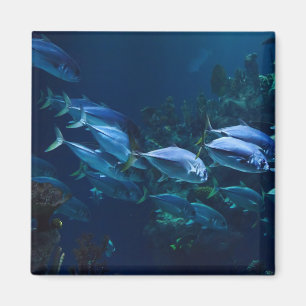Cool Aquarium Fish Dark Water Magnet