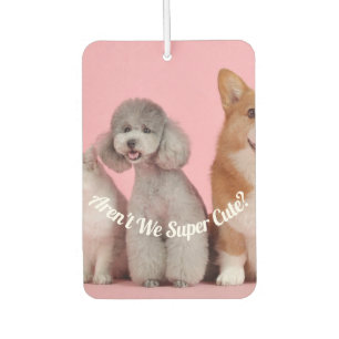 Cool Aren't We Super Cute? Pet Photo Air Freshener