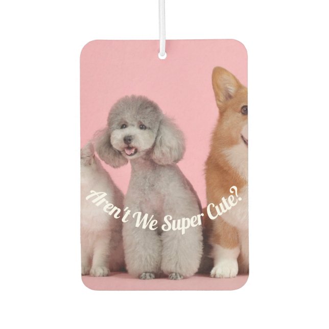 Cool Aren't We Super Cute? Pet Photo Air Freshener (Front)