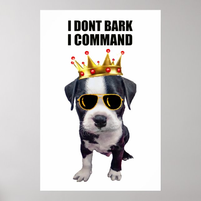 Cool baby dog with funny phrase at top poster (Front)