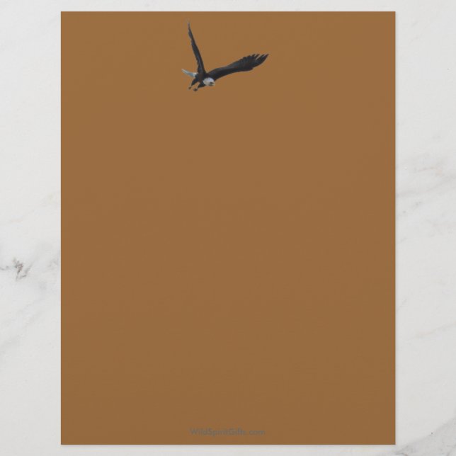 Cool Bald Eagle Wildlife Collection Customised Letterhead (Front)