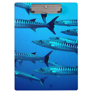 Cool Barracudas Clipboard