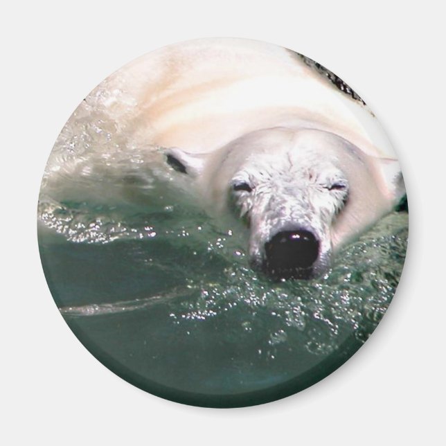 Cool Bear Magnet (Front)