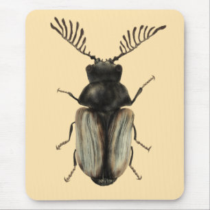 Cool beetle insect lover entomology art mouse mat