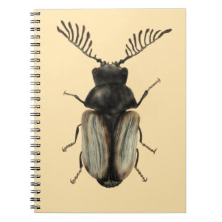 Cool beetle insect lover entomology art notebook