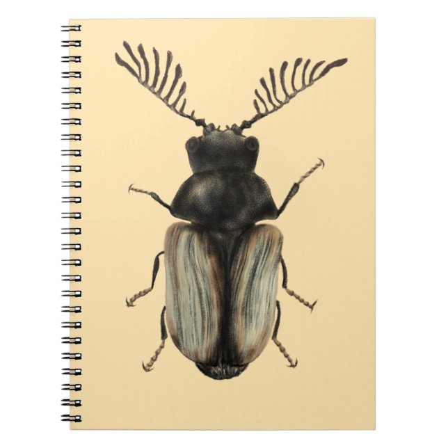 Cool beetle insect lover entomology art notebook (Front)
