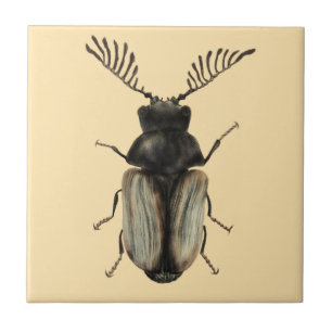 Cool beetle insect lover entomology art tile