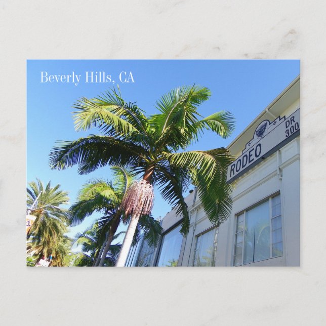 Cool Beverly Hills Postcard! Postcard (Front)