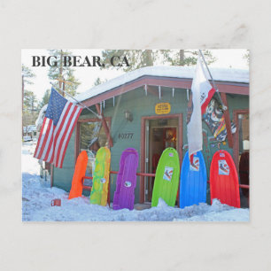 Cool Big Bear Postcard! Postcard
