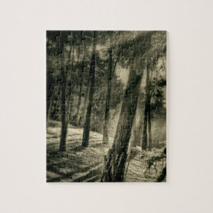 Cool Black and White Forest Sun Rays Nature Gifts Jigsaw Puzzle