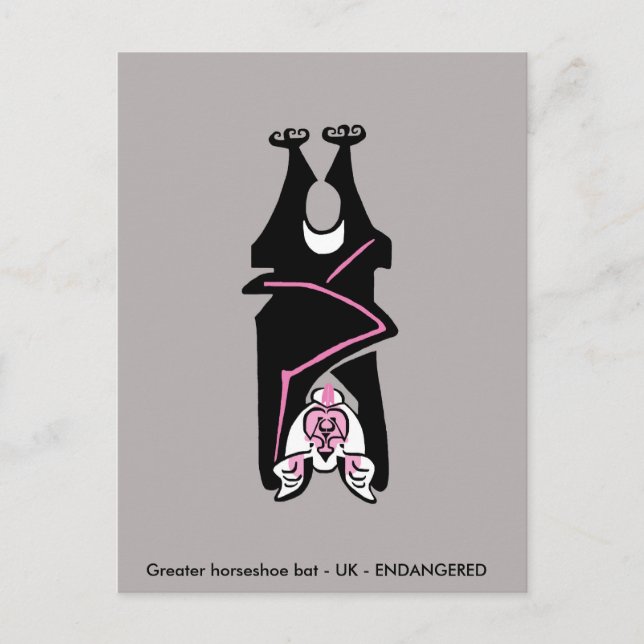 Cool Black  BAT - Endangered animal - Ecology Postcard (Front)