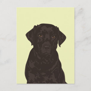 Cool Black Labrador Retriever Dog Postcard