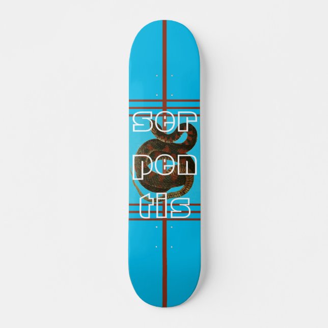 Cool Blue Serpent Design Skateboard for Beginners (Front)