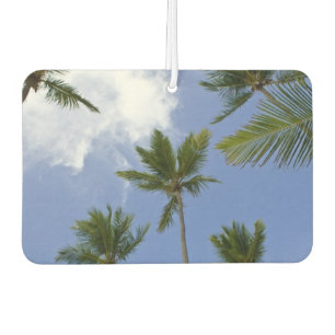 Cool Blue Sky and Palm Trees Car Air Freshener