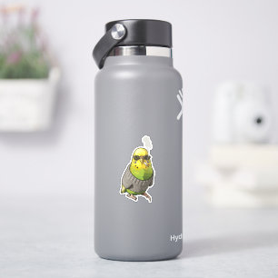 Cool Budgie in Grey Sweater and Sunglasses Illustr