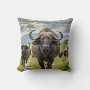 Cool Buffalo Pillow! Cushion