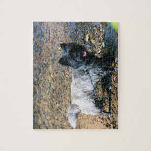 Cool  cairn jigsaw puzzle