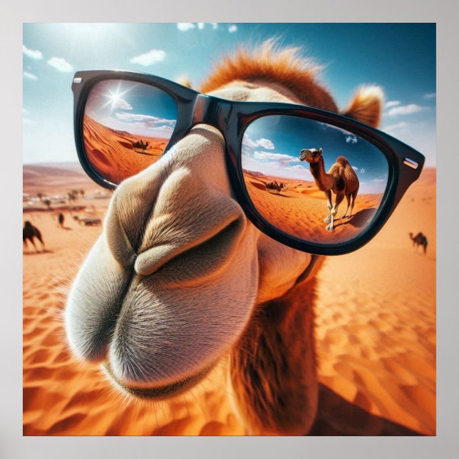 Cool Camel Poster (Front)