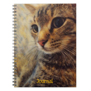 Cool Cat Art Personalised Journal Spiral