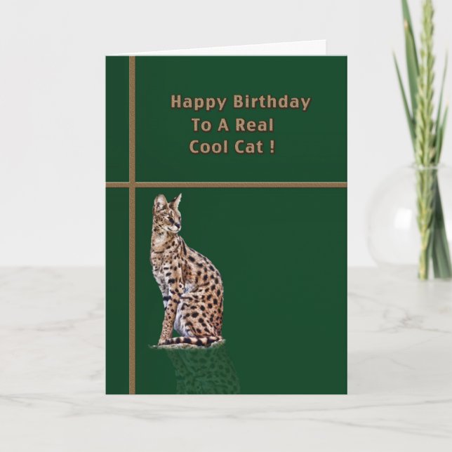 Cool Cat Birthday Card with Ocelot (Front)
