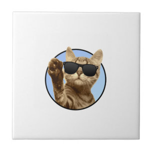 Cool Cat Ceramic Tile 