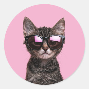 COOL CAT CUTE TABBY STICKERS