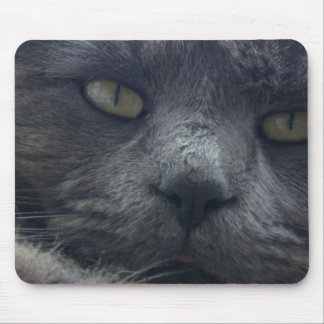 Cool Cat Face Mouse Pad