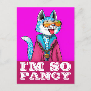 COOL CAT FUNNY FANCY ART POSTCARD