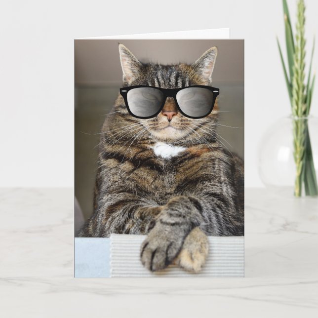 COOL CAT HAPPY BIRTHDAY SUNGLASSES GREETING CARDS (Front)