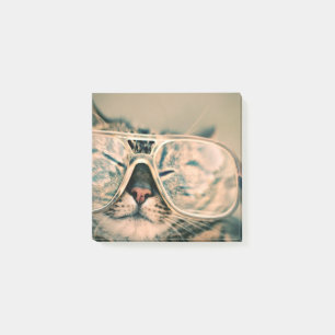Cool Cat in Glasses Photo print Post-it Notes