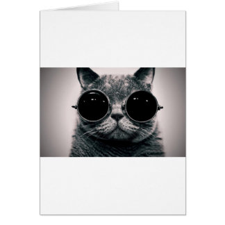 cool cat kool kat with shades