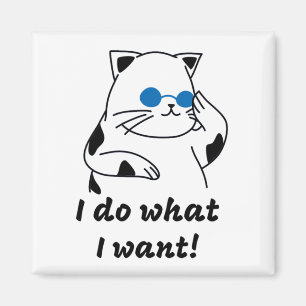 COOL CAT MAGNET