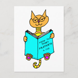 Cool Cat Reading Postcard