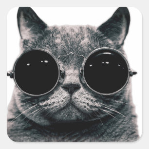 COOL CAT. SQUARE STICKER