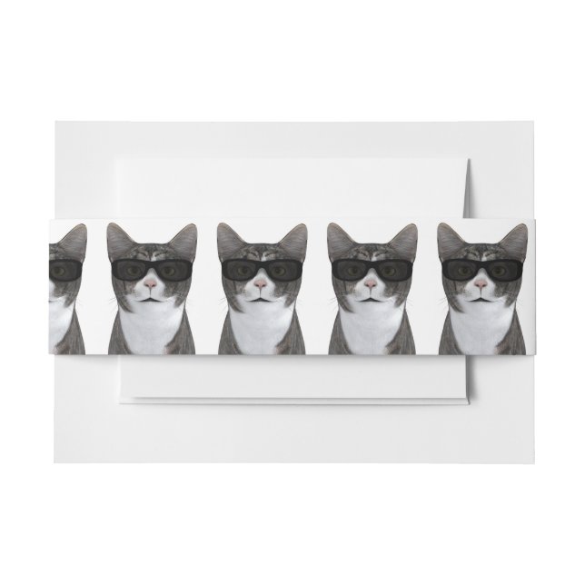 Cool Cat With Black Sunglasses Invitation Belly Band (Front Example)