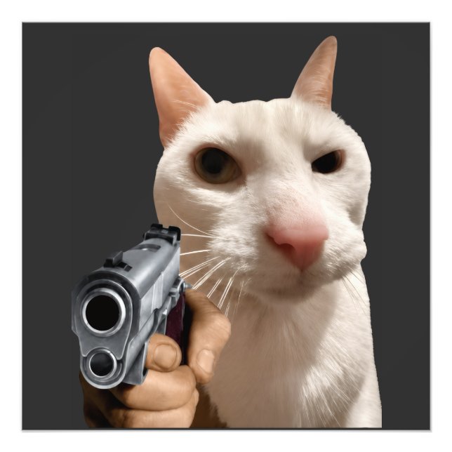 Cool Cat With Gun Funny Meme Photo Print (Front)