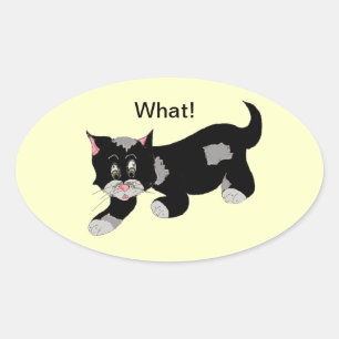Cool Cat with Saying Oval Sticker