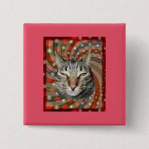 Cool Cat – YOU CAPTION Your Gift! 15 Cm Square Badge