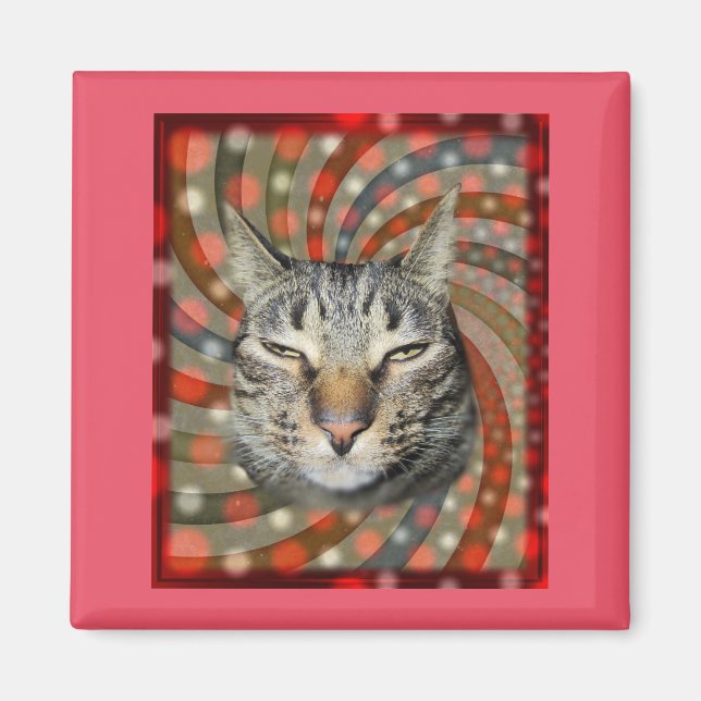 Cool Cat – YOU CAPTION Your Gift! Magnet (Front)