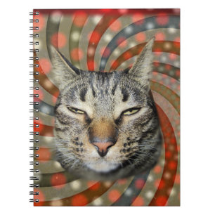 Cool Cat – YOU CAPTION Your Gift! Notebook