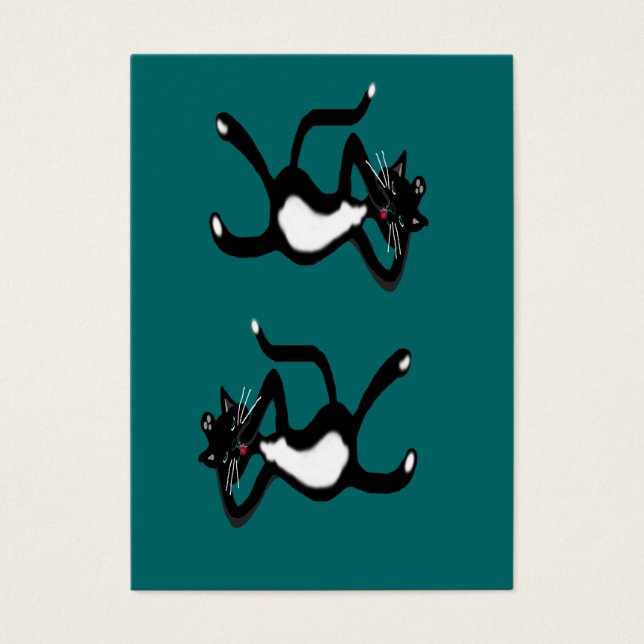 Cool cats (Front)