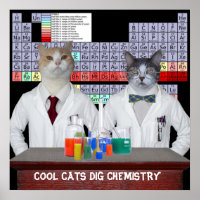 Cool Cats Dig Chemistry