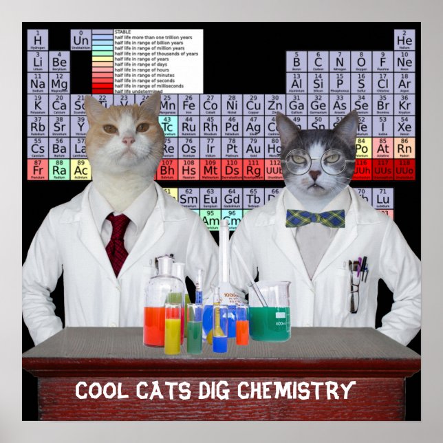 Cool Cats Dig Chemistry Poster (Front)