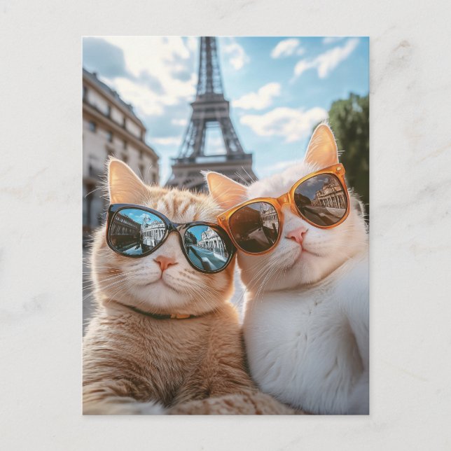 Cool Cats in Paris Postcard (Front)