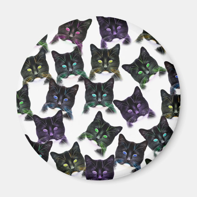 Cool Cats Magnet (Front)