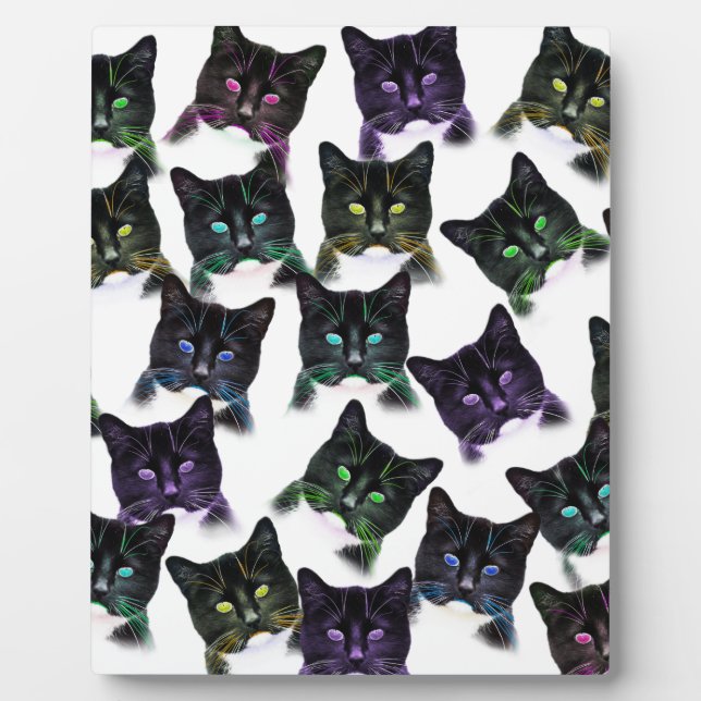Cool Cats Plaque (Front)