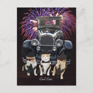 Cool Cats Postcard
